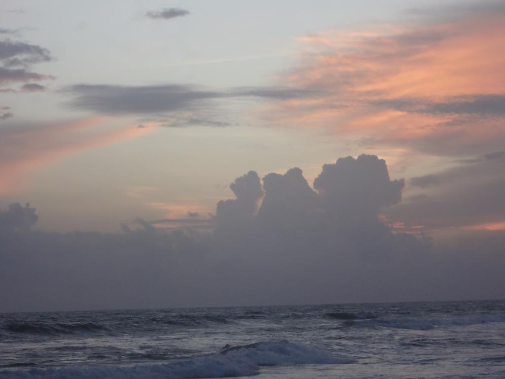 Ceylon Surf Guest And Restaurant Bed and Breakfast Weligama Exteriör bild